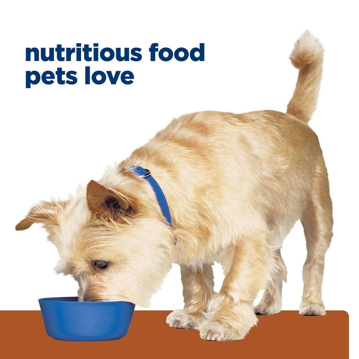 Kidney Care Dog Food W778241