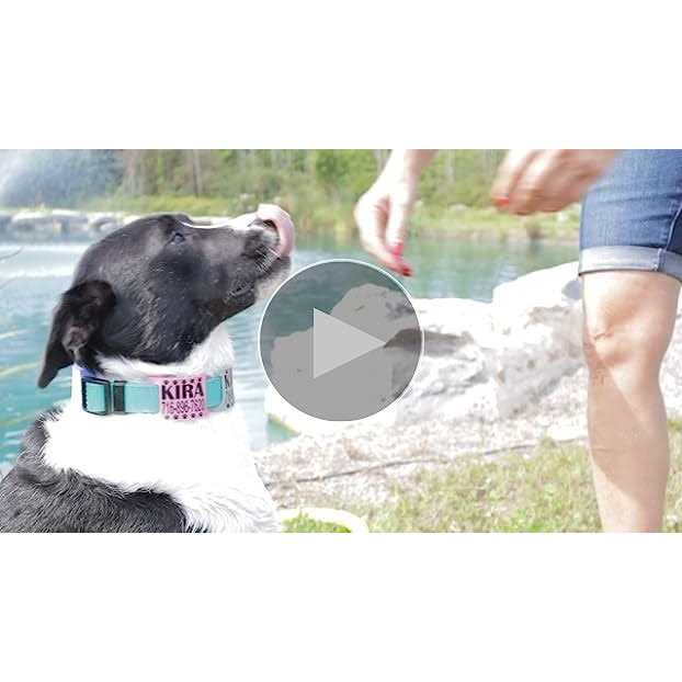 Silent Slide On Silicone Rubber Dog Collar Tag U900412