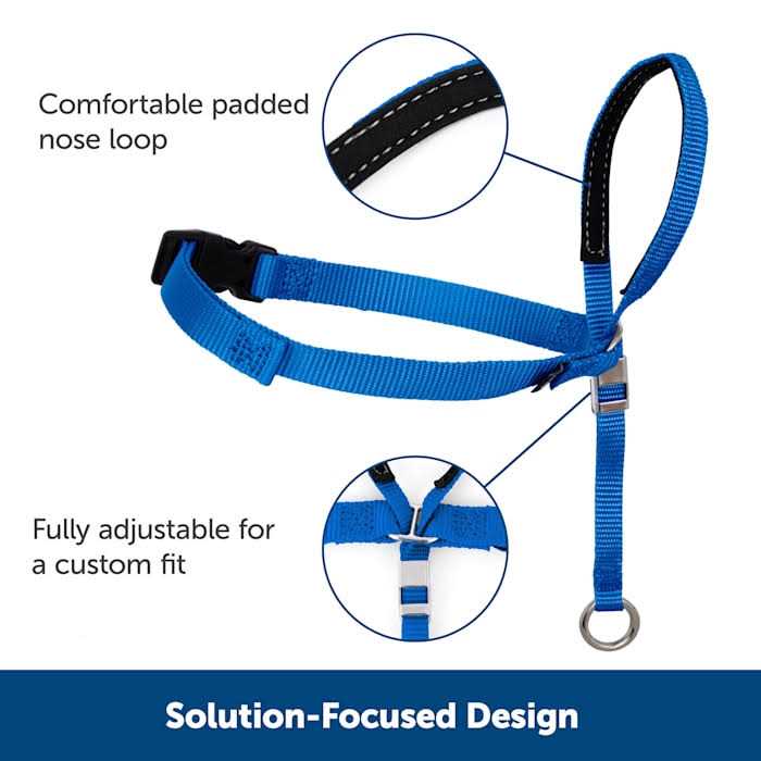 Headcollar C366