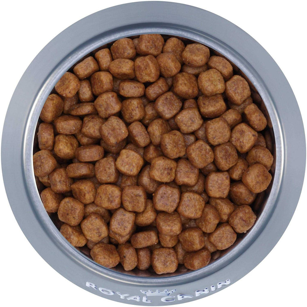 Poodle Adult Dry Dog Food I203