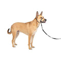Headcollar C366