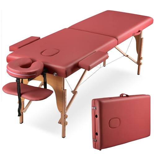 Portable Massage Table 2 Fold with Bag Black E1969