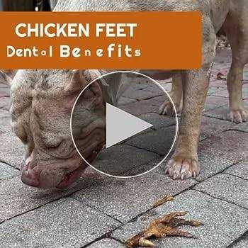 Chicken Feet Dog Treats Y983322