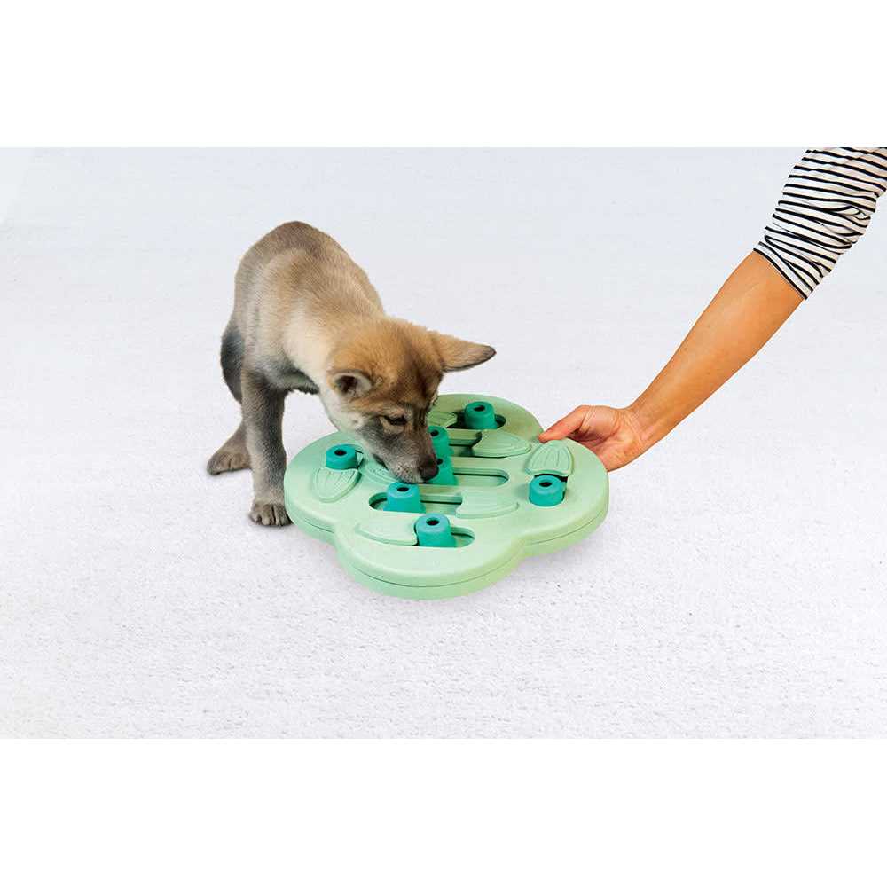 Interactive Treat Puzzle Dog Toy B3274