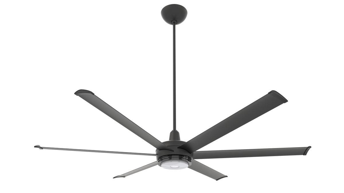Black Ceiling Fan R639290
