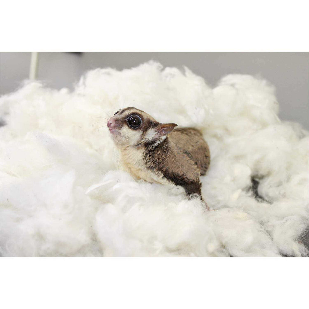 100% Cotton Animal Bedding C8567