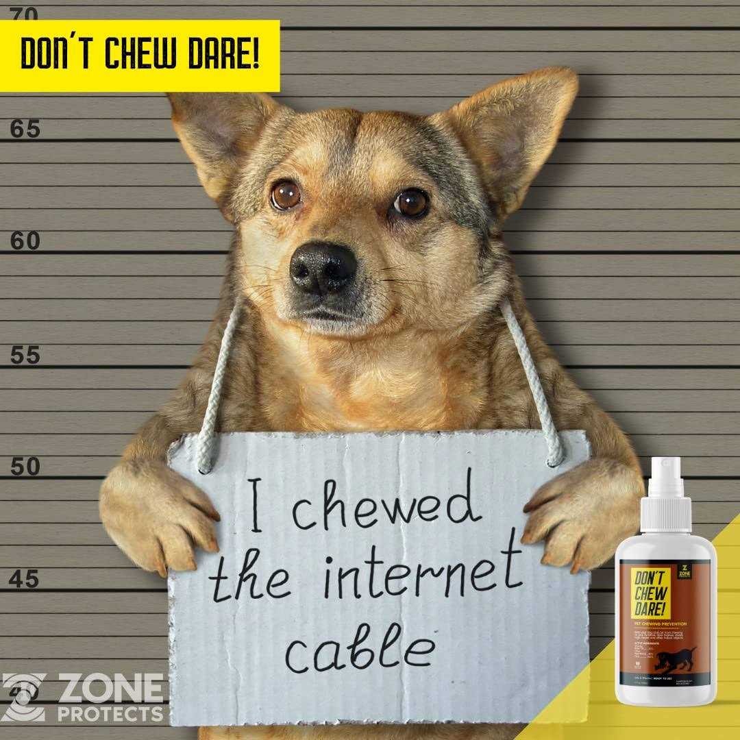 Indoor Dog Chewing Prevention Spray A38976