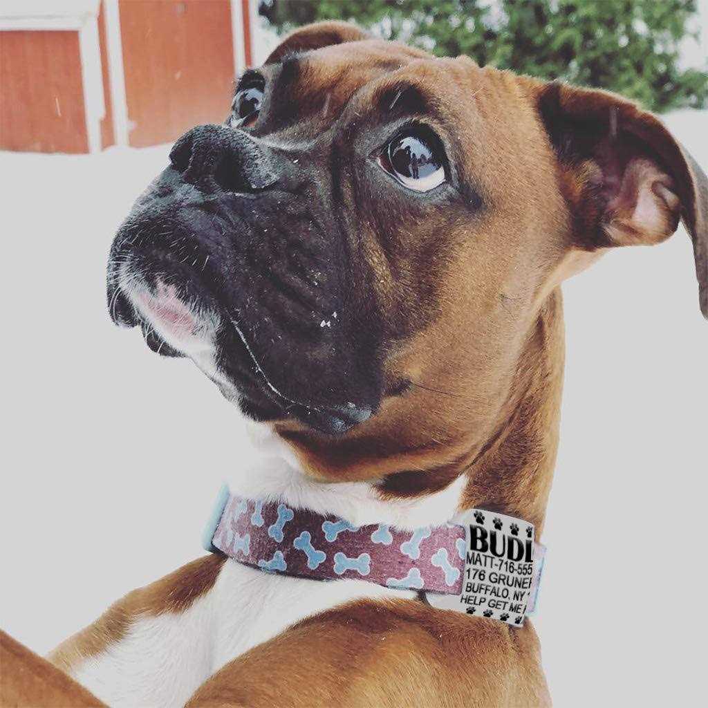 Silent Slide On Silicone Rubber Dog Collar Tag U900412