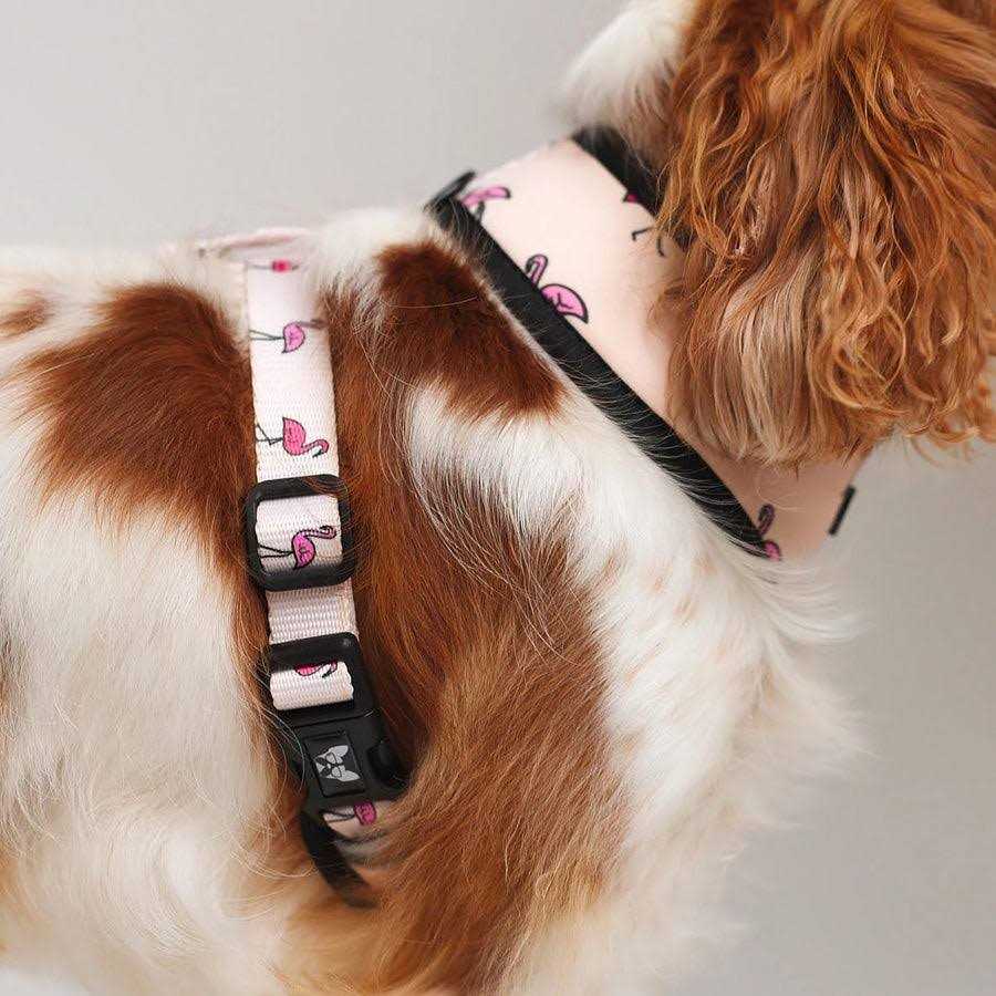 Reversible Dog Harness F4384