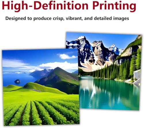 A4 DTF Printer Set of 4 Ink S969485