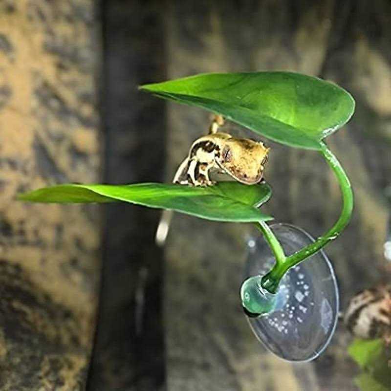 Betta Fish Leaf Pad Plastic Suction Cup L79329