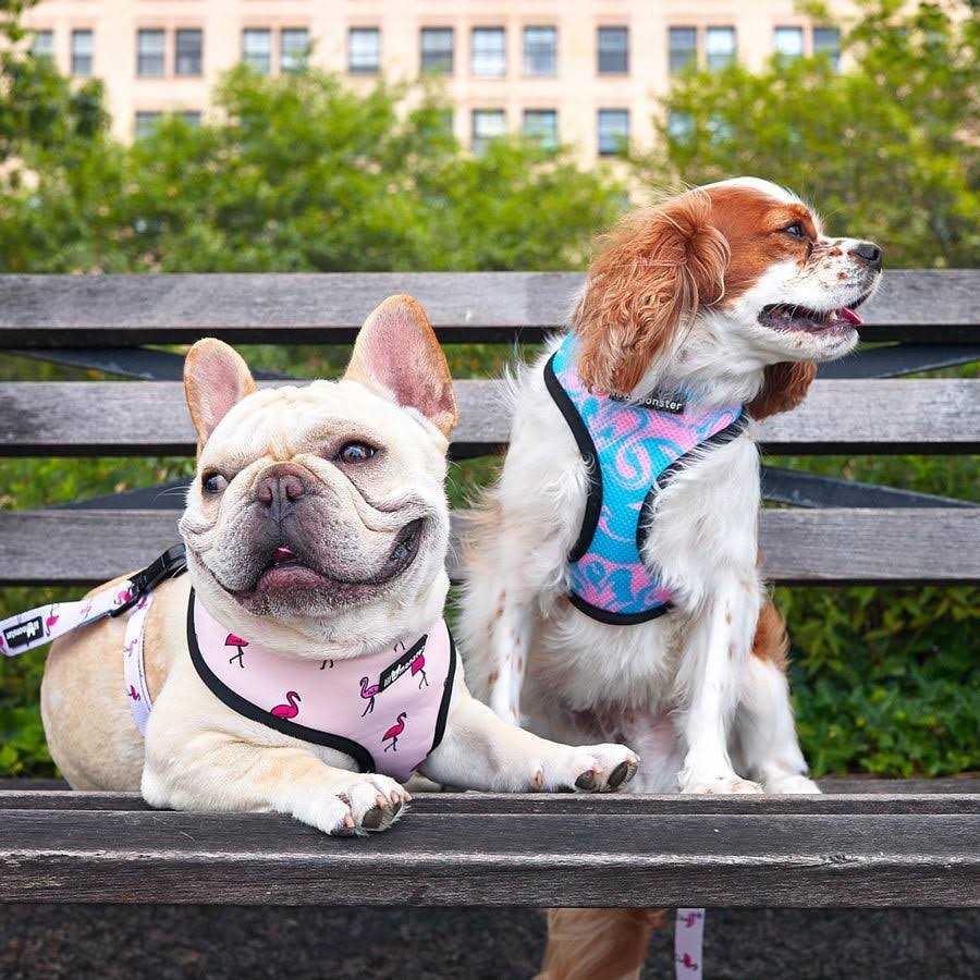Reversible Dog Harness F4384
