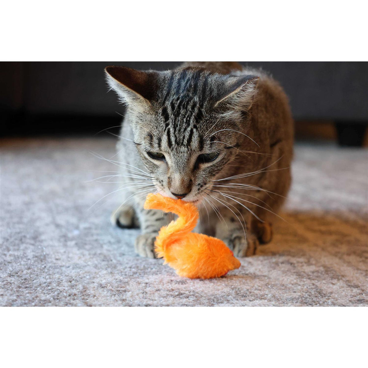 24 Piece Cat Toys Z966192