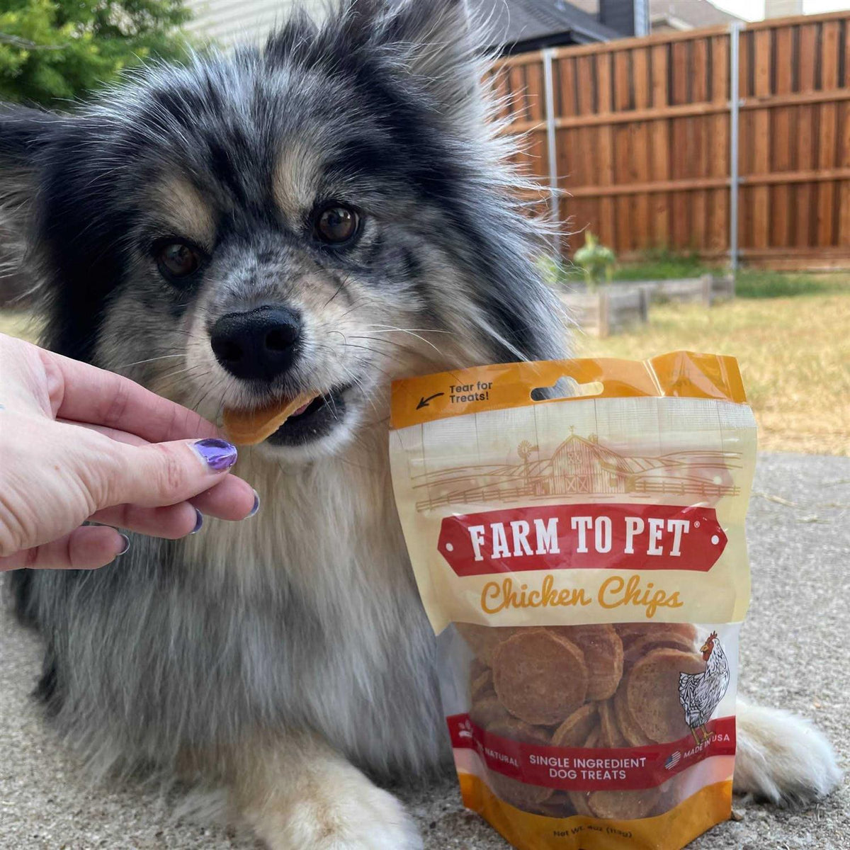 Chicken Chips Dog Treats Z75880