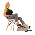 Magnetic Mini Exercise Bike L610