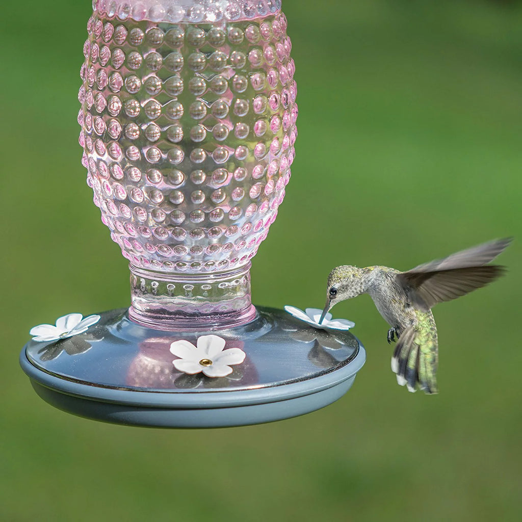 Vintage Glass Hummingbird Feeder G949