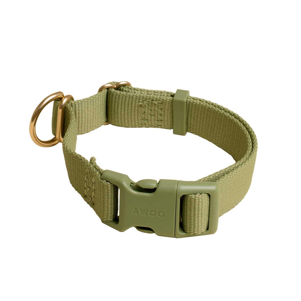 Standard Dog Collar A57000