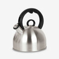 2-quart Stainless Steel Stovetop Kettle A313