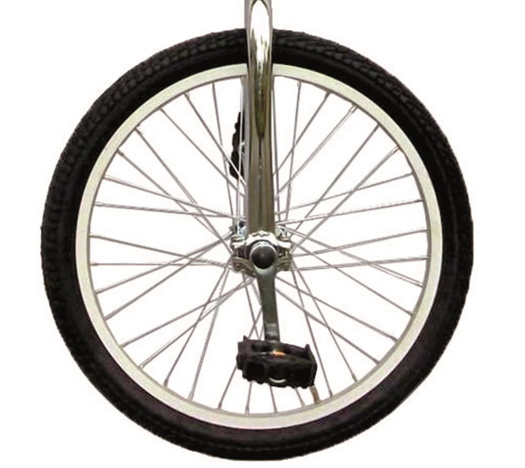 20 inch Unicycle with Alloy Rim, Blue Q6799