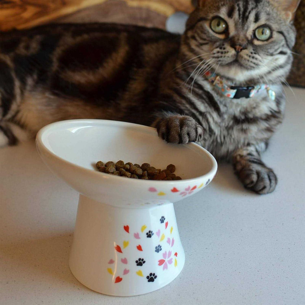 Extra Wide Raised Cat Food Bowl D224240