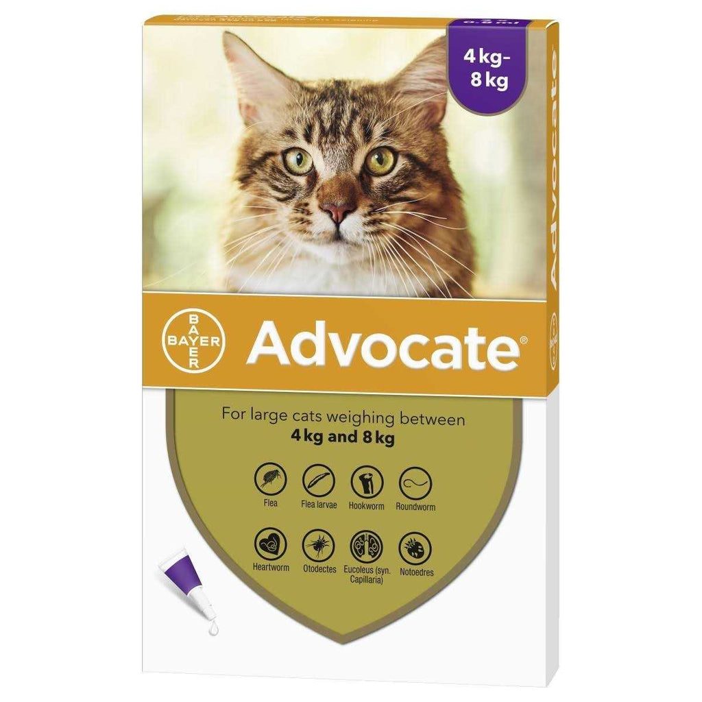 Large Cat Pet Supplies Q5738