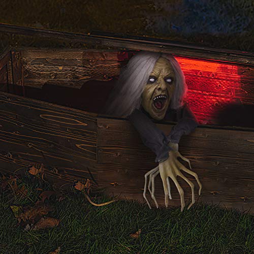Halloween Zombie Witch Decoration with Bendable Arms E13860