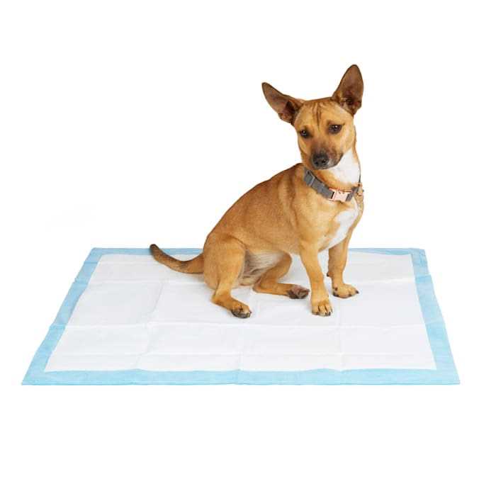 Large Quilted Potty Pads H32315