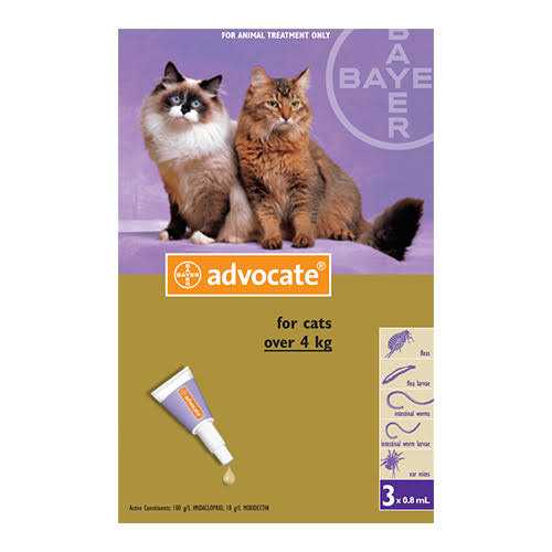 Large Cat Pet Supplies Q5738