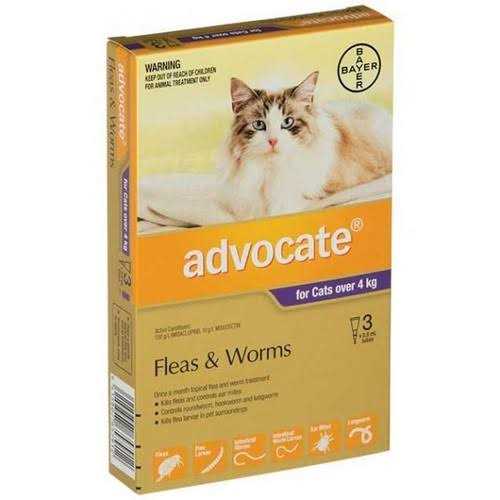Large Cat Pet Supplies Q5738
