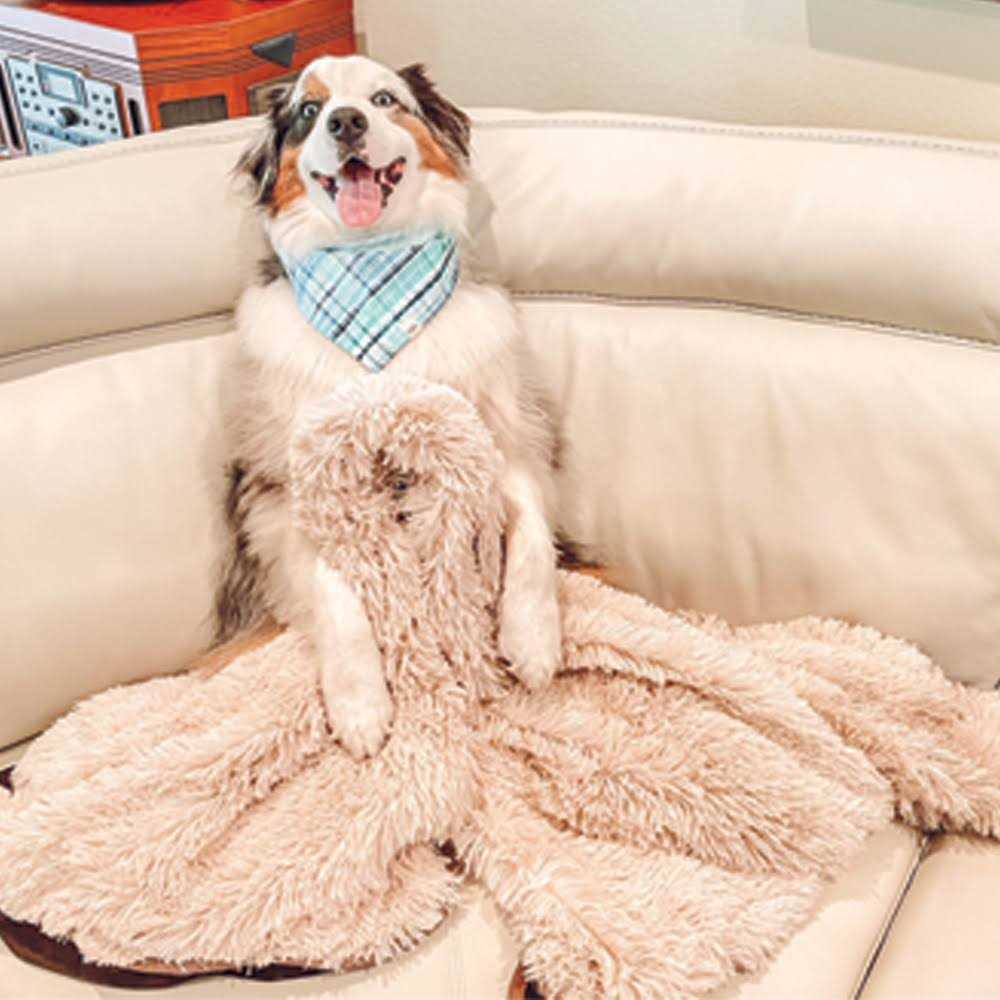 Throw Blanket N336381