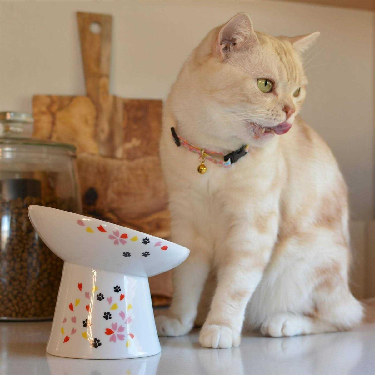 Extra Wide Raised Cat Food Bowl D224240