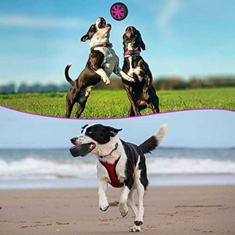 Dog Toy T259881
