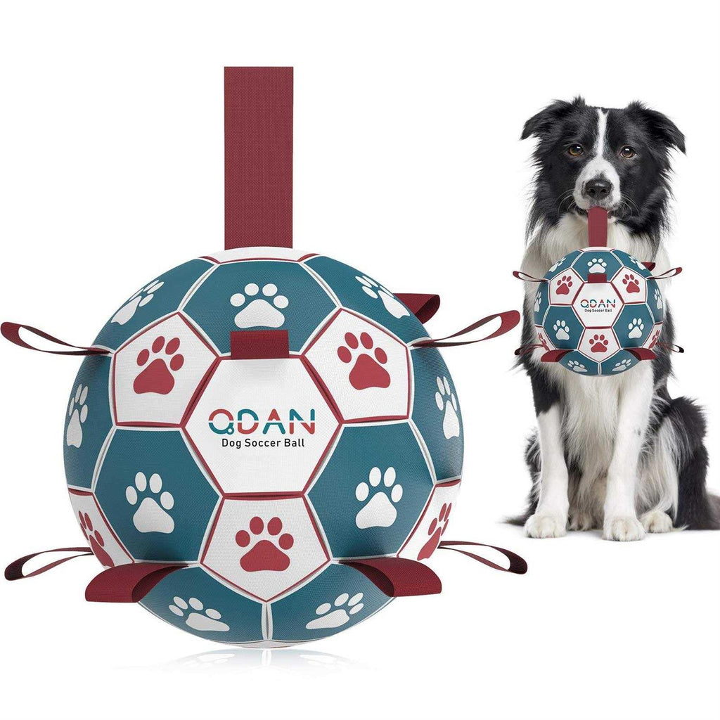 Dog Toys Soccer Ball with Straps R27970