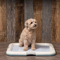 Square Pet Training Pad Holder E7160