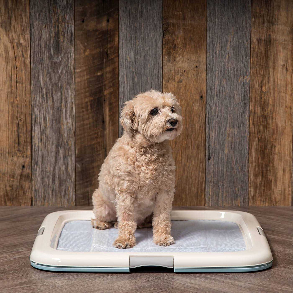 Square Pet Training Pad Holder E7160