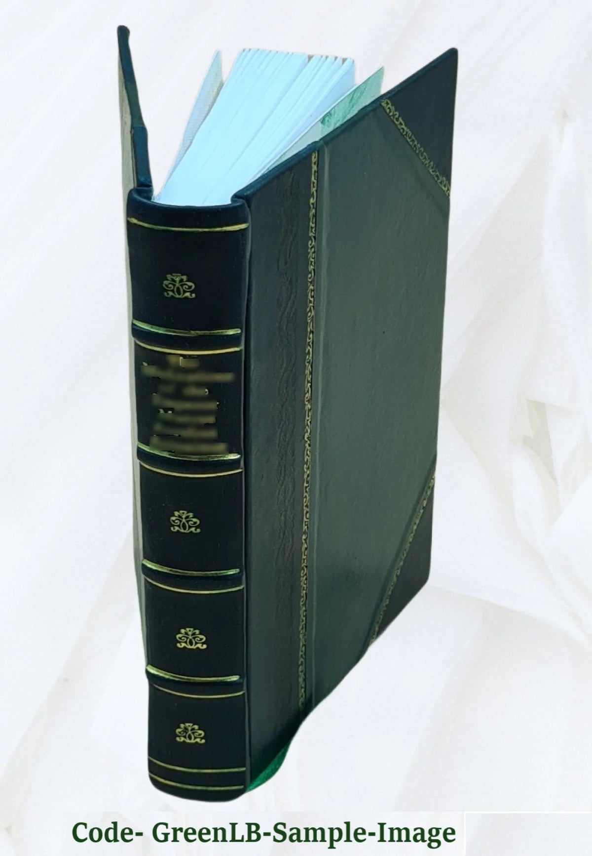 1920 Providence Building Laws and Ordinances Leather Bound V93698