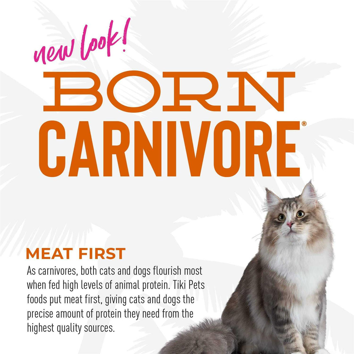 Chicken & Egg Dry Food D77052
