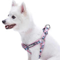 Step Dog Harness E213327