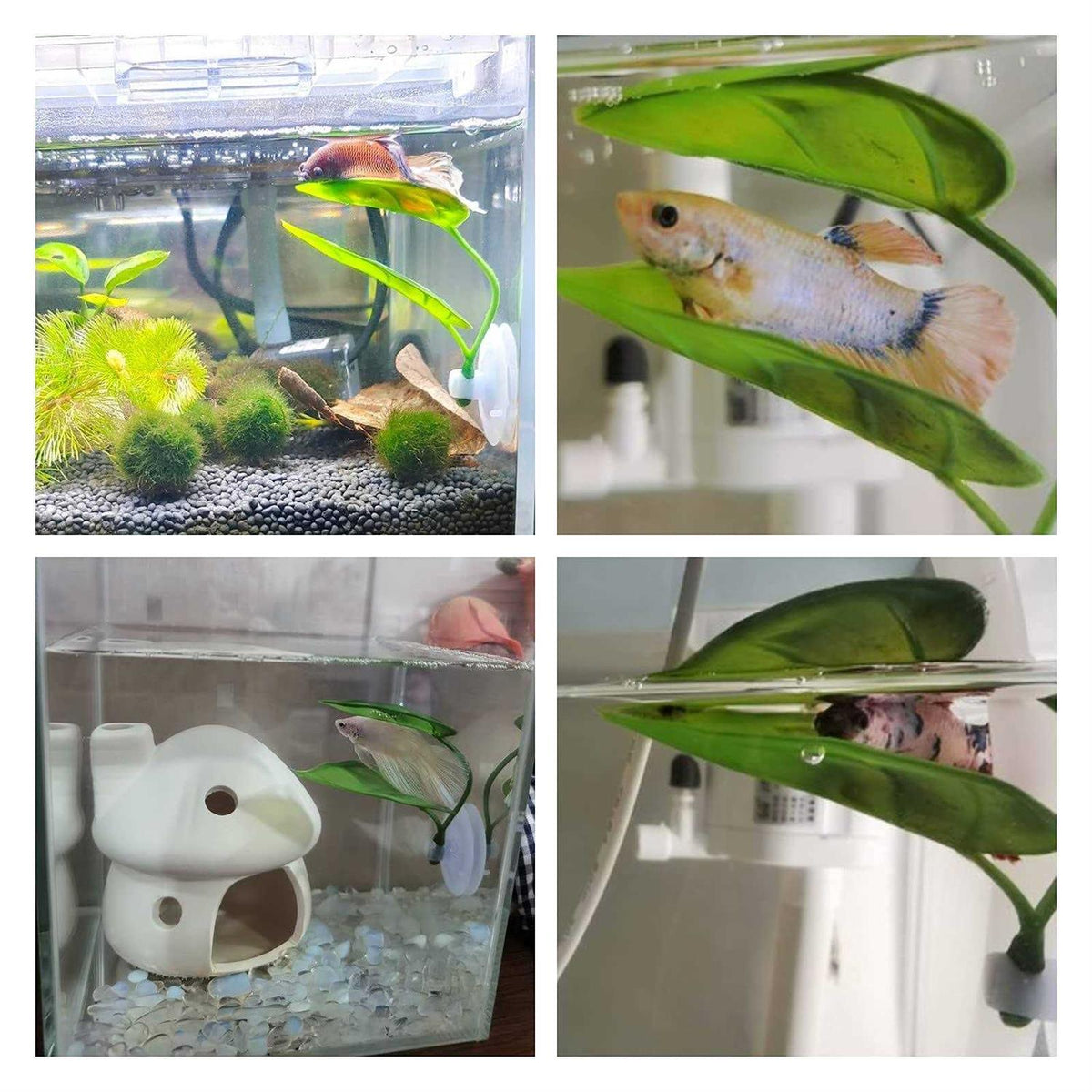 Betta Fish Leaf Pad Plastic Suction Cup L79329