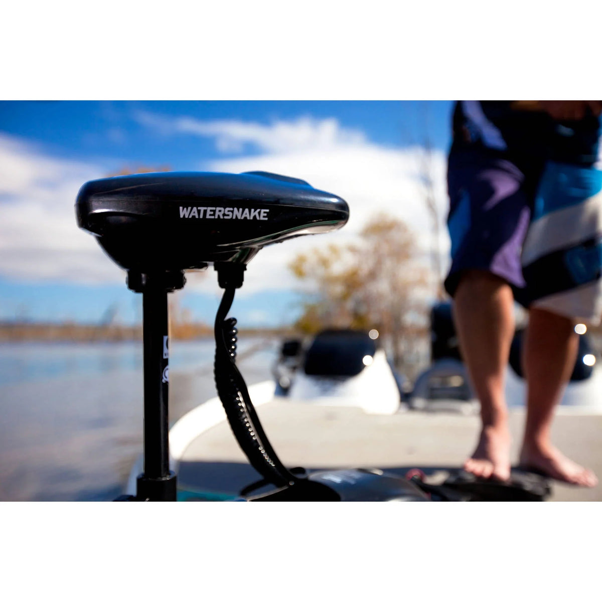 Bow Mount Trolling Motor V765900